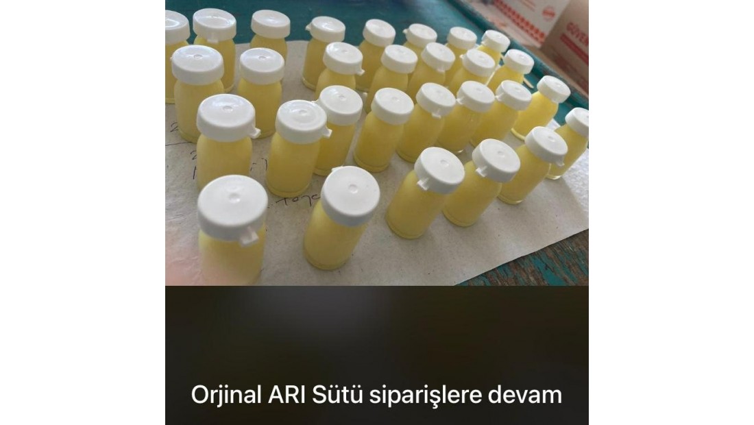 ORGANİK ARI SÜTÜ 